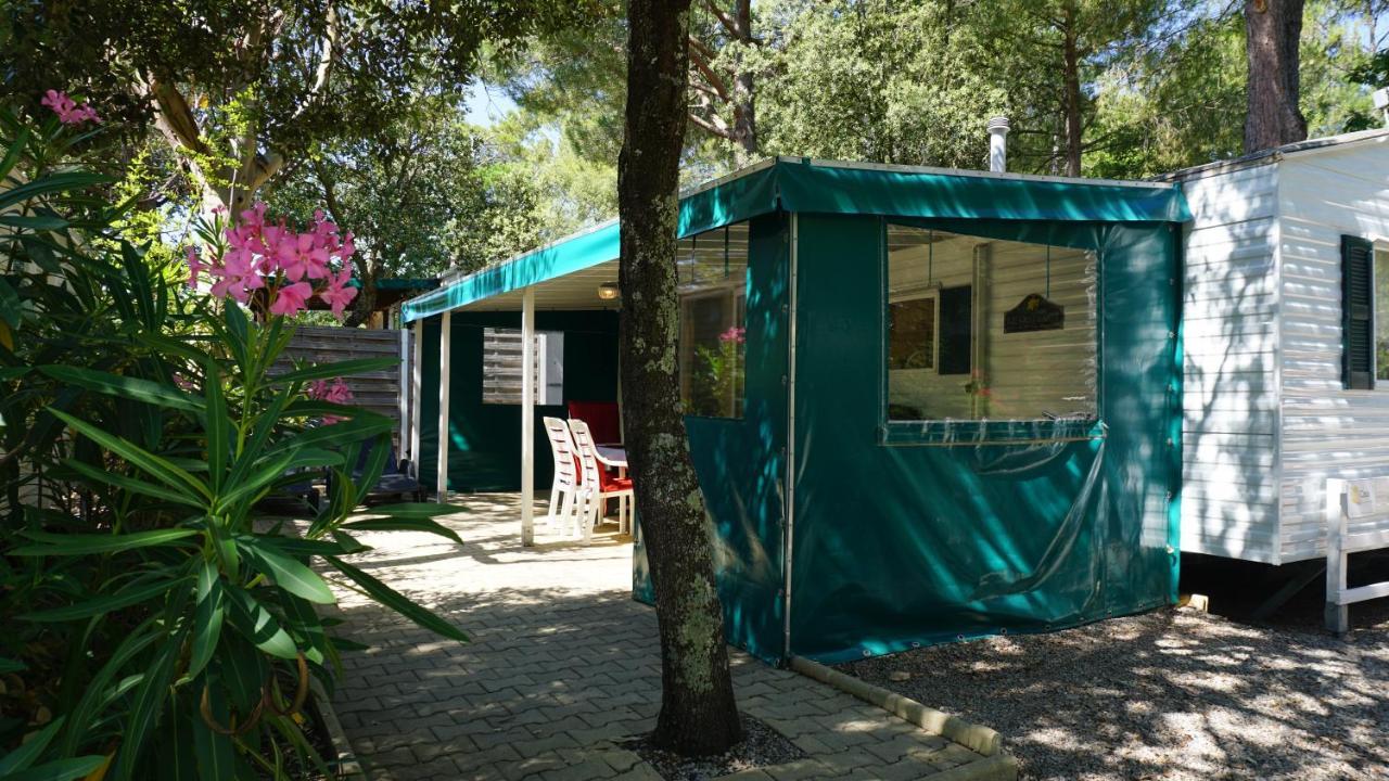 Chalets Met Buitenkeuken Op Camping Lei Suves - Joycasa Roquebrune-sur Argens Luaran gambar