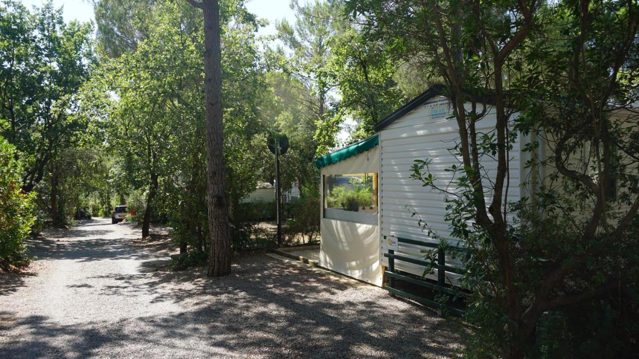 Chalets Met Buitenkeuken Op Camping Lei Suves - Joycasa Roquebrune-sur Argens Luaran gambar