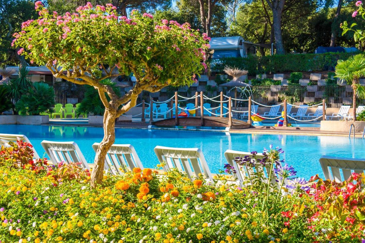 Chalets Met Buitenkeuken Op Camping Lei Suves - Joycasa Roquebrune-sur Argens Luaran gambar