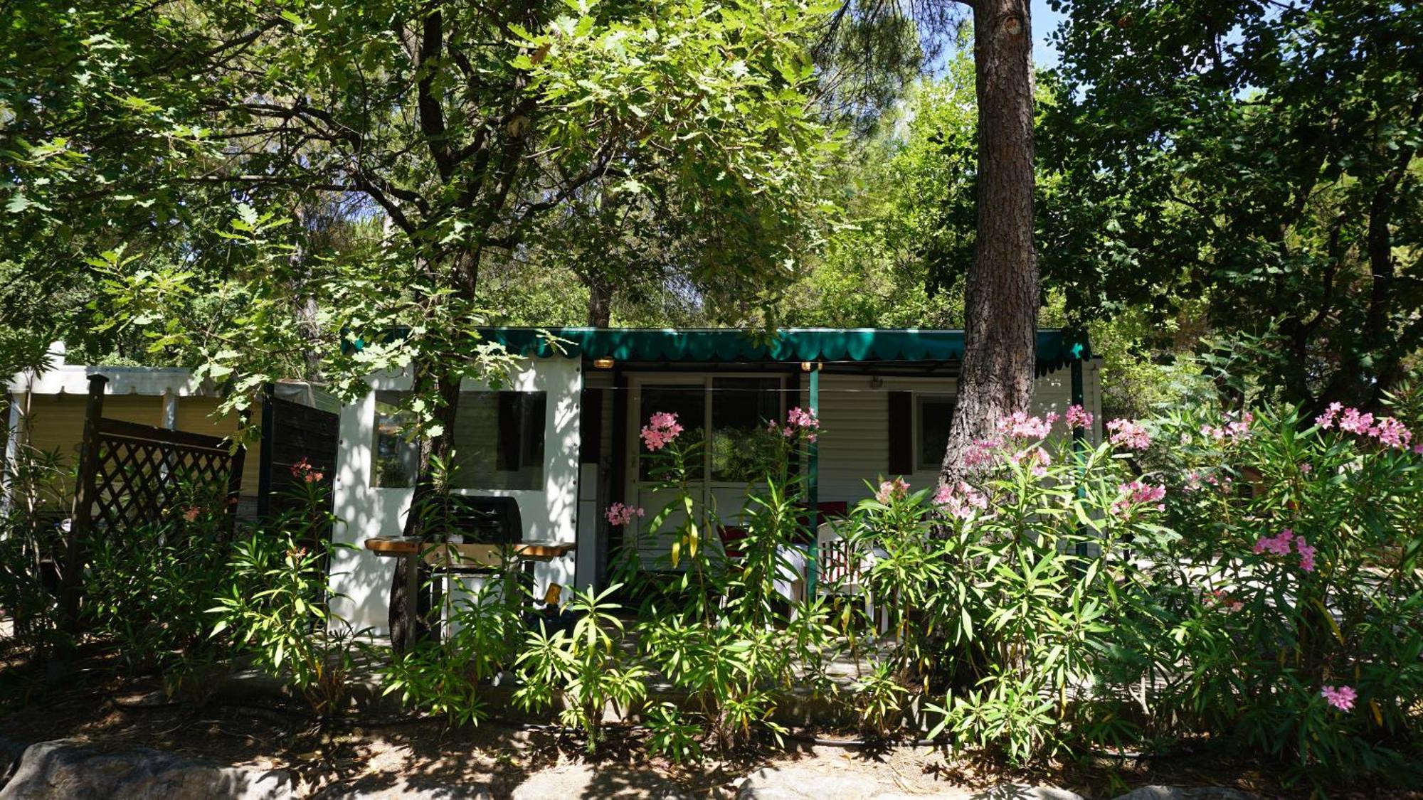 Chalets Met Buitenkeuken Op Camping Lei Suves - Joycasa Roquebrune-sur Argens Bilik gambar